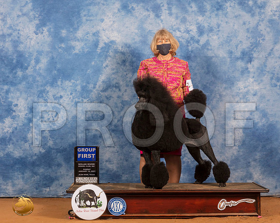 Poodle Std #26 Sun G1 Judge Tim Robbins_SR_8807_GlnRs21_HR3