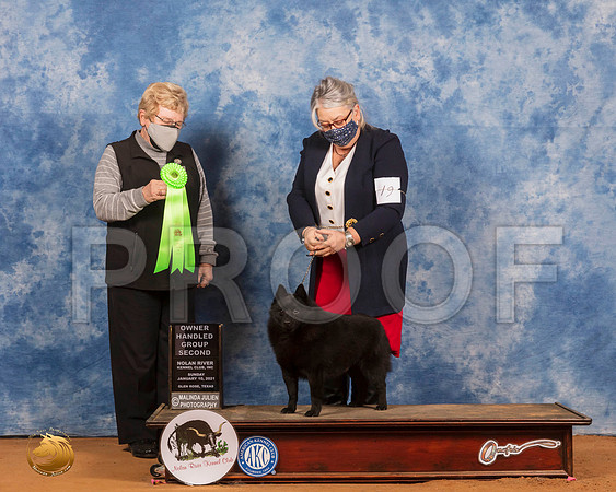 Schipperkee #19 Sun OHG2 Judge Judith Brown_SR_8622_GlnRs21_HR3