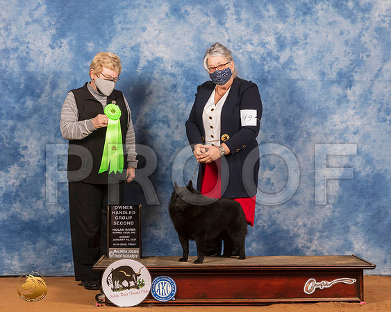 Schipperkee #19 Sun OHG2 Judge Judith Brown_SR_8623_GlnRs21_HR3