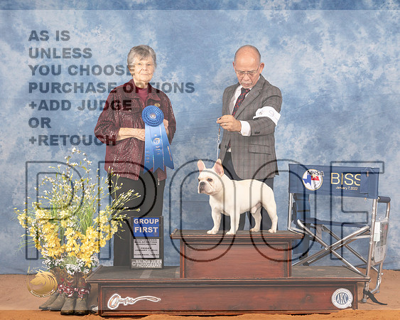 French Bulldog #9 Fri G1 Judge Doris CozartMMJ_8750_NRKC2022_HR3