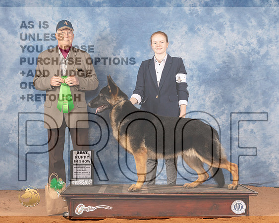 German Shepherd Dog #15 Fri BPup Judge Bill RobinsonMMJ_8508_NRKC2022_HR3