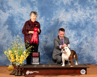 Bulldog #12 Fri G2 Judge Doris Cozart