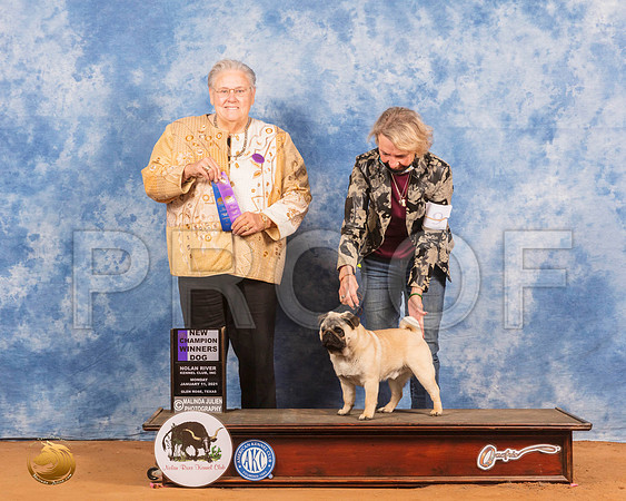 Pug #9 Mon WD Judge Denny Mounce_SR_8842_GlnRs21_HR3