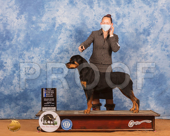 Rottweiler #16 Mon BOW Judge Ronald Horn_SR_8944_GlnRs21_HR3