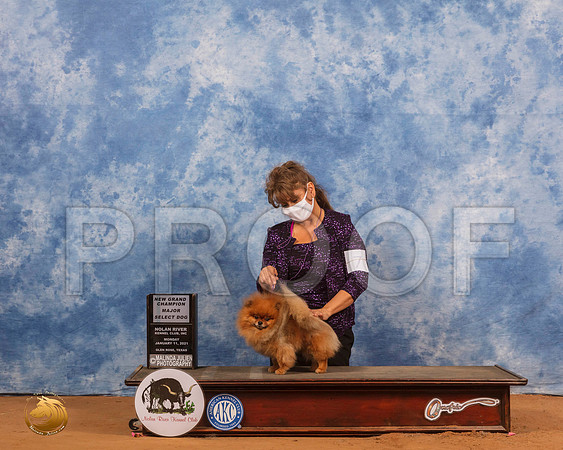 Pomeranian #? SD Mon Judge Harold Tatro_SR_9140_GlnRs21_HR3