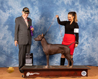 Xolo #11 Fri WD Judge Johnny Shoemaker