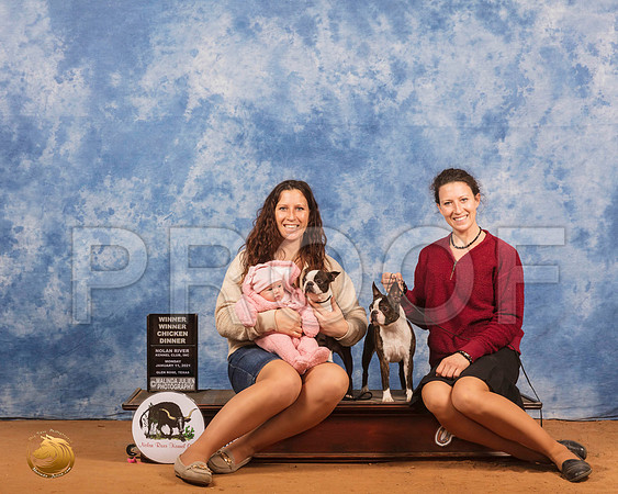 Boston Terrier #28 #30 Mon_SR_9458_GlnRs21_HR3