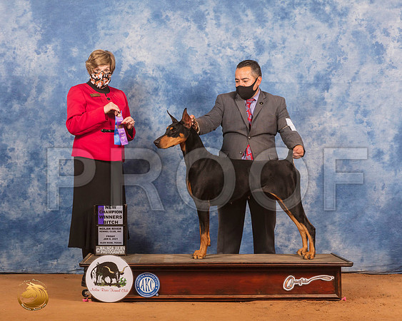Doberman Pinscher  #6 Mon WB Judge Wanda Spediacci_SR_9443_GlnRs21_HR3