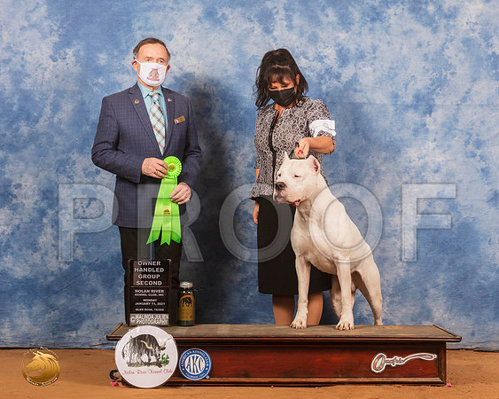 Dogo Argentino #9 Mon OHG2 Judge Carl Liepmann_SR_9814_GlnRs21_HR3