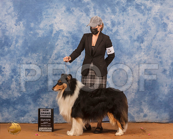 Collie Rough #9 Mon RESHOOT_SR_9866_GlnRs21_HR3