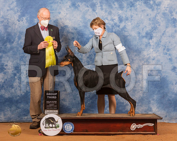 Doberman Pinscher #26 Mon G1 Judge Ronald Horn_SR_0003_GlnRs21_HR3