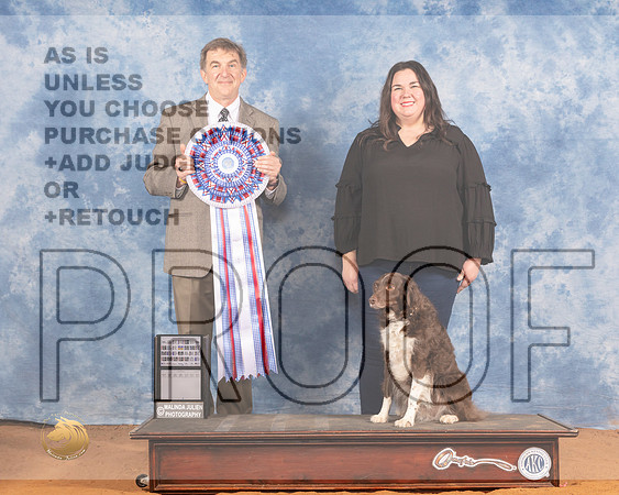 All American #49 RACH Judge Walter O'BrienMMJ_9380_NRKC2022_HR3