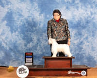 Chinese Crested #14 Sat BOSBOWWB Judge Azalea Alvarez