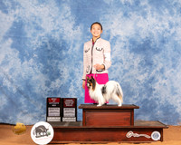 Papillon #17 Sat BOS OHBOB Judge Azalea Alvarez