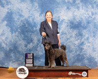 Pumi #6 Sat WB Judge Gloria Kerr