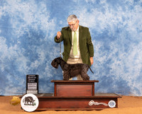Cesky #7 Sat OHG1 Judge Daniel Dowling