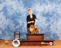 Pomeranian #18 Sat SB Judge Doris Cozart