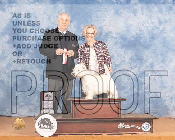 West Highland White Terrier #7 Sat BOS Judge Phillip BriascoMMJ_9580_NRKC2022_HR3
