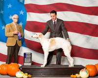 Borzois #12 Sun WB Durdin Jean W Judge Mr Robert R Frost