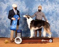 Borzoi #6 Sat G1 Judge Daniel Dowling
