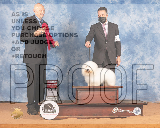 Coton #5 Sat G2 Judge Gary SparschuMMJ_9939_NRKC2022_HR3