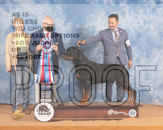 Rottweiler #17 Sat RBIS Judge Michael CanalizoMMJ_0027_NRKC2022_HR3