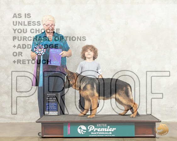 German Shepherd Dog #226 Wed NovPBOB Judge Karen Cattin_MMJ_6662_Premier_2022_HR3
