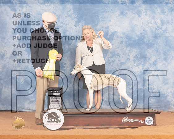 Whippet #25 Sat G3 Judge Daniel DowlingMMJ_9850_NRKC2022_HR3