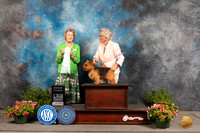 Norwich Terrier #23 Sun G4 Judge Anne Bolus
