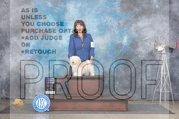 Havanese #9 Fri WDCH Judge Gary Andersen__JP_5329_Amarillo_2024_HR3