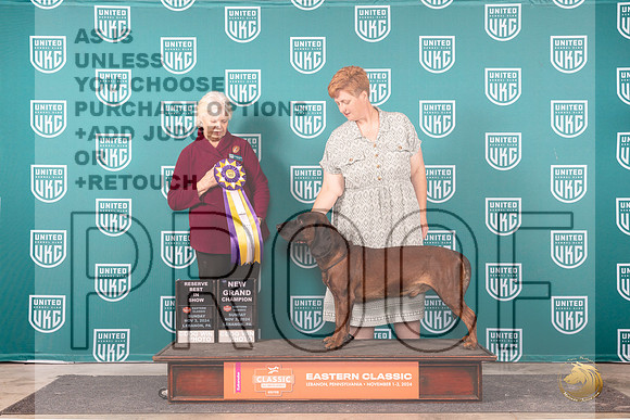 Barvarian Mt Scenthound #169 Sun RBISGCH Judge Kathryn Baxter__JP_2496_UKCEastern_2024_HR3