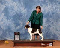 Brittany #15 Sun BOSWB Judge Michael Canalizo