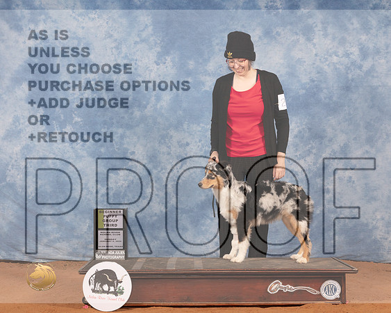 Australian Shepherd #25 Sun PBOB Judge Joy BassMMJ_0236_NRKC2022_HR3