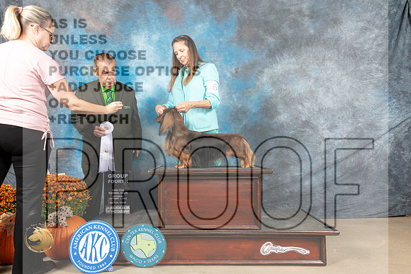 Dachshund Longhaired #6 G4 Judge Del Richards_MJ_5888_Belton_2022_HR3
