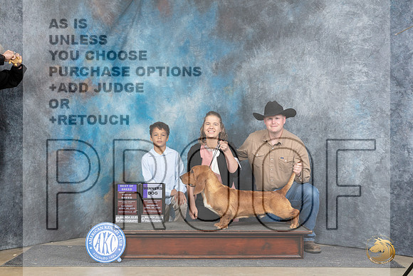 Basset Hound #7 Sat WDBOBOHBOB Judge Elizabeth Muthard__JP_4769_Fayetteville2024_HR3