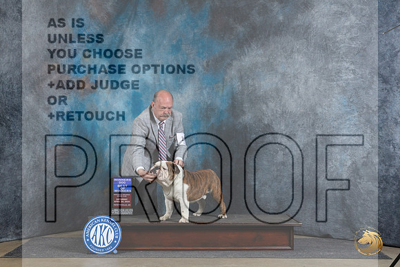 Bulldog #19 Sat BOW Judge Denny Mounce__JP_4656_Fayetteville2024_HR3
