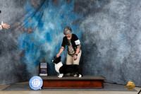 Cardigan Welsh Corgi #26 Thur G4 Judge Elizabeth Muthard r2