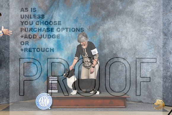 Cardigan Welsh Corgi #26 Thur G4 Judge Elizabeth Muthard r2__JP_4661_Fayetteville2024_HR3