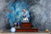 French Bulldog #27 Sat BOWCH JUdge Denny Mounce
