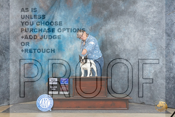 French Bulldog #27 Sat BOWCH JUdge Denny Mounce__JP_4733_Fayetteville2024_HR3