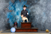 French Bulldog #34 Sat BOS Judge Denny Mounce