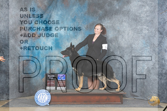 German Shepherd Dog #5 Sat WDBOWM Judge Carolyn Herbel__JP_4773_Fayetteville2024_HR3