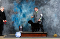 Portuguese Water Dog #6 Fri WBBOS Judge Carolyn Herbel