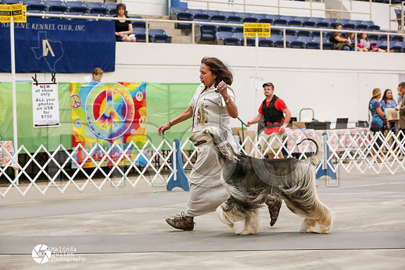 _JJ_0022-AblnMay2014-web