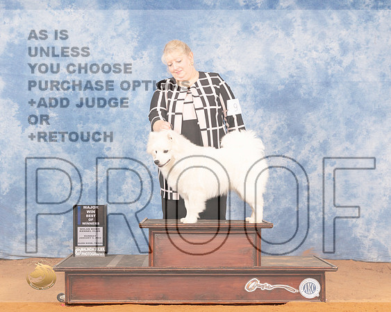 American Eskimo #9 Sun BOW Judge Carol Jean NelsonMMJ_0522_NRKC2022_HR3