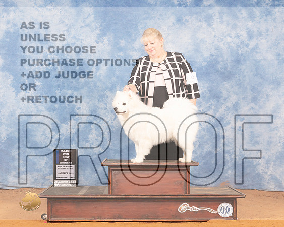 American Eskimo #9 Sun BOW Judge Carol Jean NelsonMMJ_0523_NRKC2022_HR3