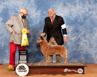 Australian Cattledog #11 Sun G3 Judge Michael Canalizo