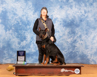 Doberman Pinscher #174 Sun Scent Judge William Miles