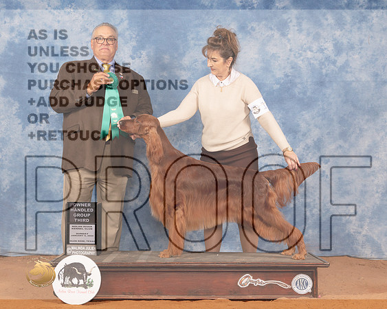 Irish Setter #10 Sun OHG3 Judge John LucasMMJ_0776_NRKC2022_HR3