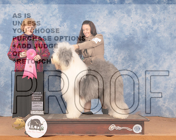 Old English Sheepdog #11 Sun OHG1 Judge Betty PollockMMJ_0849_NRKC2022_HR3